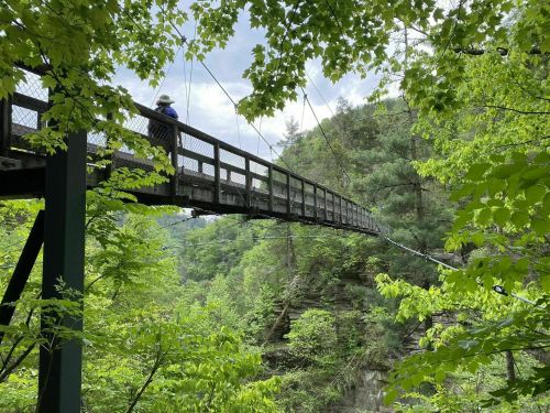 A wooden suspension bridge surrounded by lush green trees and hills, with a person walking across it.
