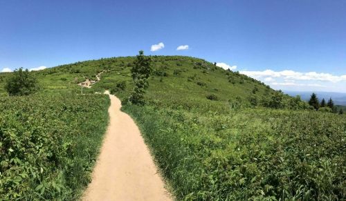A winding dirt path leads through lush green hills under a clear blue sky with a few clouds.