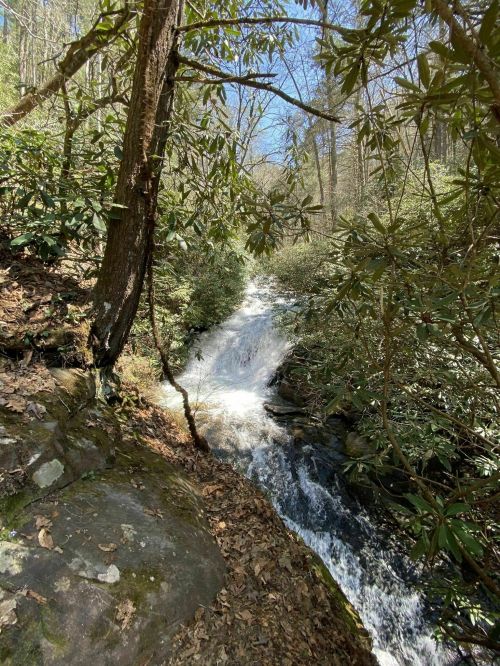 A serene waterfall cascades through a lush, green forest with sunlight filtering through the trees.