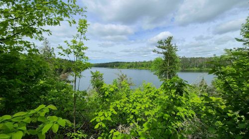 Lush green foliage frames a serene lake under a partly cloudy sky, surrounded by trees and nature.
