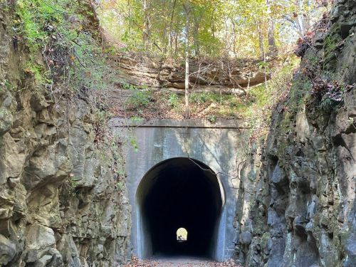 A dark tunnel surrounded by rocky walls and greenery, leading to a bright opening in the distance.