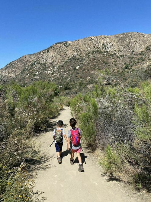 Two children walk hand in hand along a dirt trail surrounded by greenery and mountains under a clear blue sky.