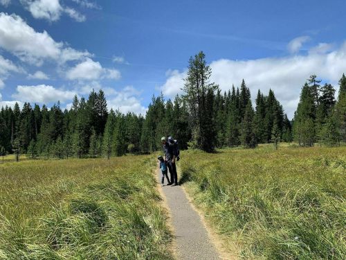 A person and a child stand on a path through tall grass, surrounded by trees and a blue sky with clouds.
