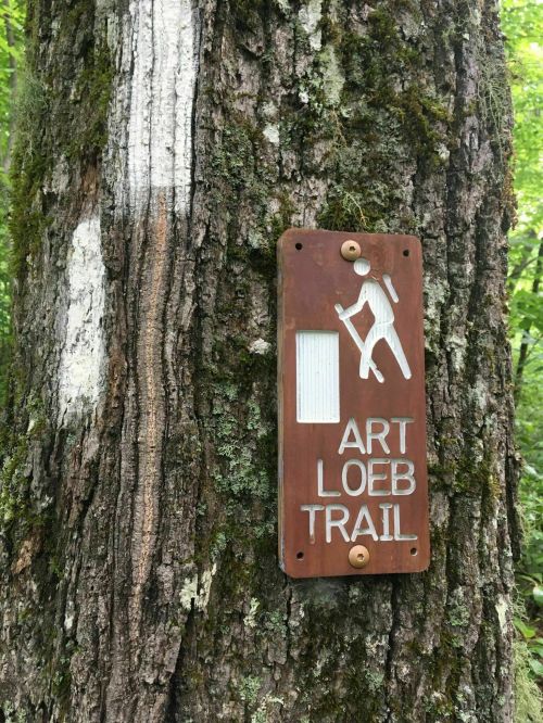 A weathered sign on a tree marking the Art Loeb Trail in a lush, green forest.