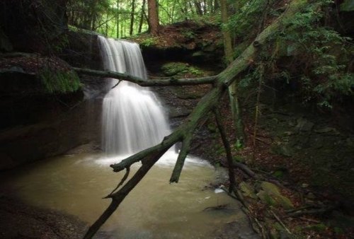 A serene waterfall cascades over rocks into a calm pool, surrounded by lush green trees and foliage.