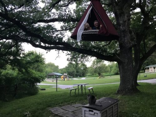 A treehouse tent hangs in a tree, with two people inside, overlooking a park with a playground and a cat on the ground.