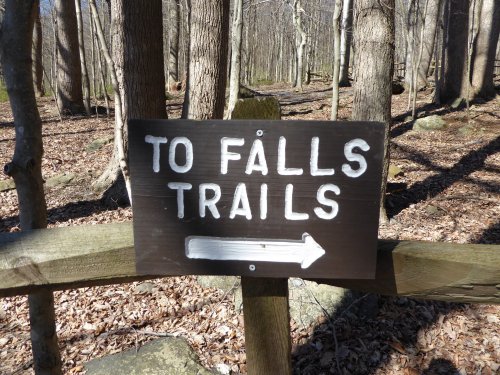 Wooden sign directing to falls trails, with an arrow pointing right, surrounded by a forest of bare trees.
