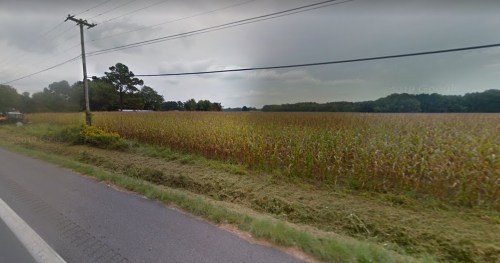 A rural landscape featuring a cornfield, power lines, and a road alongside the field under a cloudy sky.