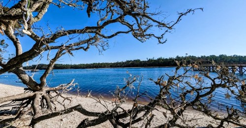 A serene view of a calm river framed by bare branches and a sandy shore under a clear blue sky.