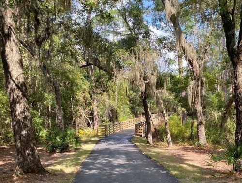 A serene pathway through lush greenery, leading to a wooden bridge surrounded by trees and Spanish moss.