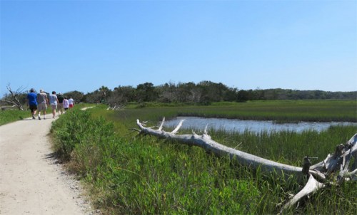 A group of people walking along a dirt path beside a marsh with tall grass and a calm waterway under a clear blue sky.