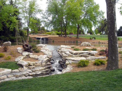A serene landscape featuring a small waterfall, rocks, and lush greenery surrounding a calm pond.