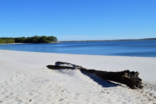 A serene beach scene with a sandy shore, calm water, and a large driftwood log under a clear blue sky.