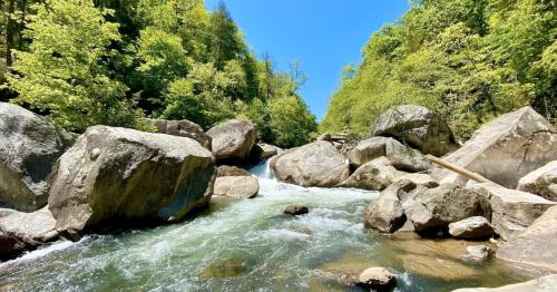 A serene river flows through a rocky landscape, surrounded by lush green trees under a clear blue sky.