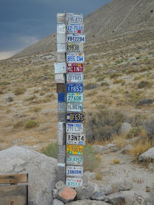 A tall pole displaying various colorful license plates against a desert landscape with mountains in the background.