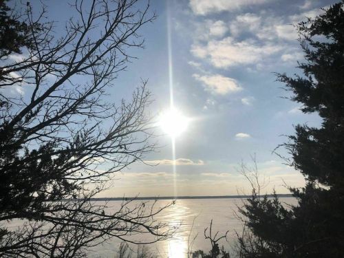 A bright sun shines over a calm body of water, framed by silhouetted trees against a blue sky with scattered clouds.