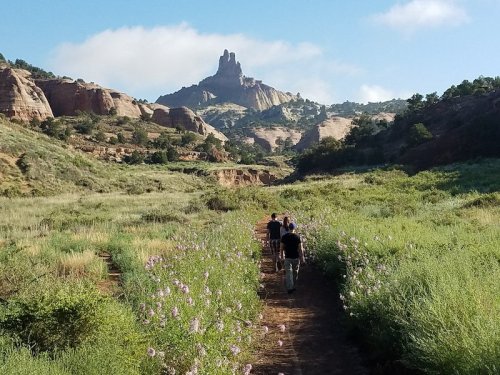 A group of hikers walks along a trail surrounded by wildflowers, with rocky hills and a peak in the background.