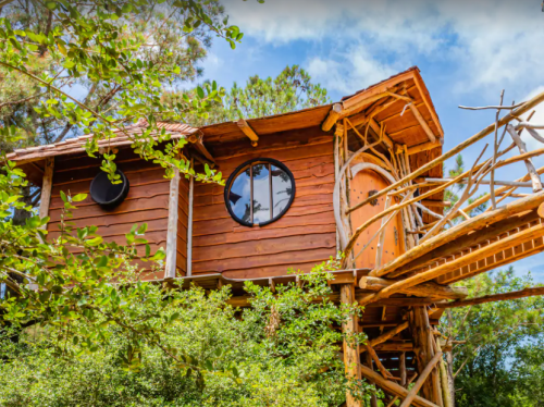 A whimsical treehouse made of wood and branches, surrounded by lush greenery and blue skies.