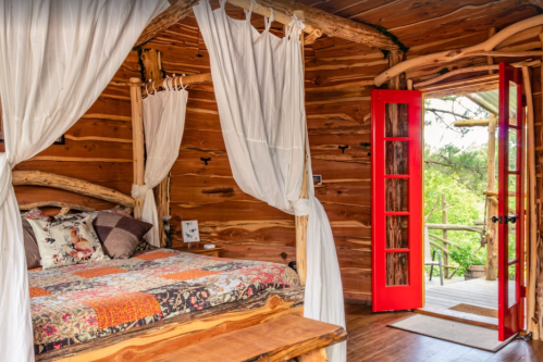 Cozy wooden bedroom with a colorful quilt, sheer curtains, and a bright red door leading to a lush outdoor view.