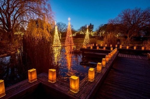 A serene evening scene with illuminated Christmas trees reflecting in water, surrounded by glowing lanterns on a wooden path.