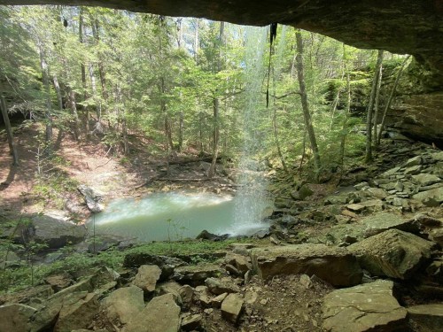 A serene waterfall cascades into a tranquil pool, surrounded by lush green trees and rocky terrain.