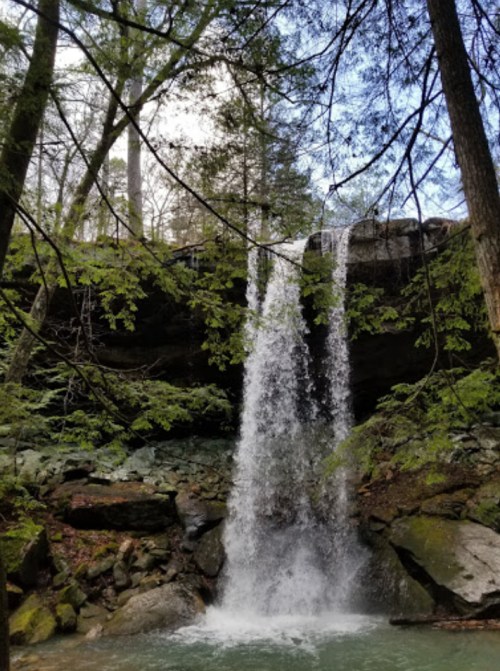 A serene waterfall cascades over rocks, surrounded by lush green trees and a tranquil pool below.