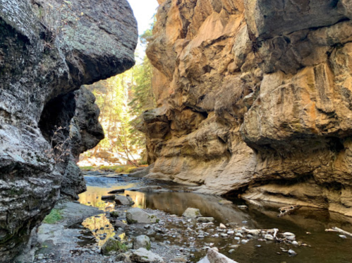A narrow canyon with towering rock walls and a small stream running through it, surrounded by trees and sunlight.