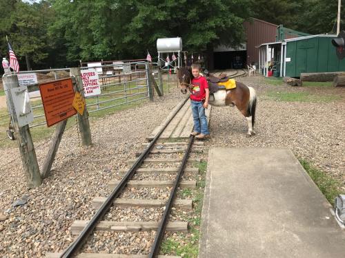 A child stands next to a pony on a gravel path near a sign and a barn, with trees in the background.
