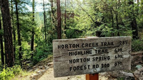 Wooden trail sign in a forest, indicating distances to Horton Creek Trail, Highline Trail, Horton Spring, and Forest Rd 200.