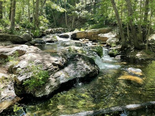 A serene stream flows over rocks, surrounded by lush green trees in a peaceful forest setting.