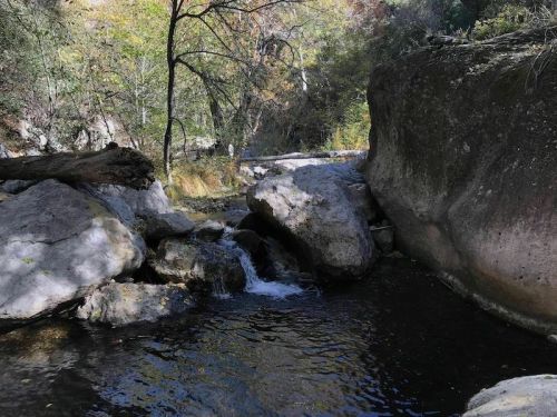 A serene river flows between large rocks, surrounded by trees and autumn foliage.