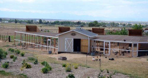 A spacious outdoor animal enclosure with a barn, surrounded by fields and mountains in the background.