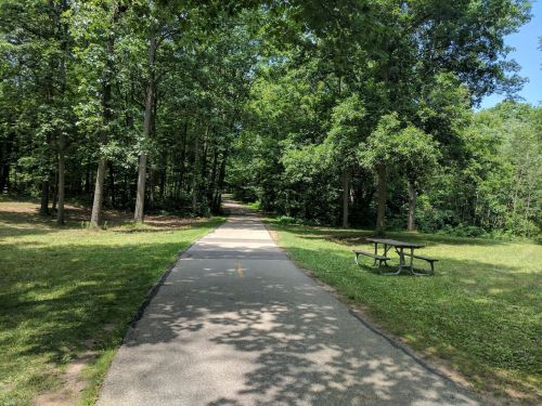 A paved path through a lush green park, with trees on either side and a picnic table nearby.