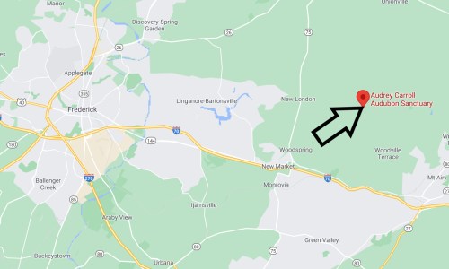 Map showing the location of Audrey Carroll Audubon Sanctuary near Frederick, Maryland, with an arrow pointing to it.
