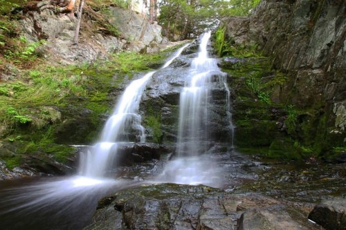 A serene waterfall cascading down moss-covered rocks, surrounded by lush greenery and trees.