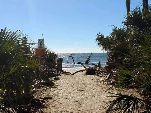 A sandy path leads to a beach with gentle waves, framed by palm trees and a warning sign in the foreground.