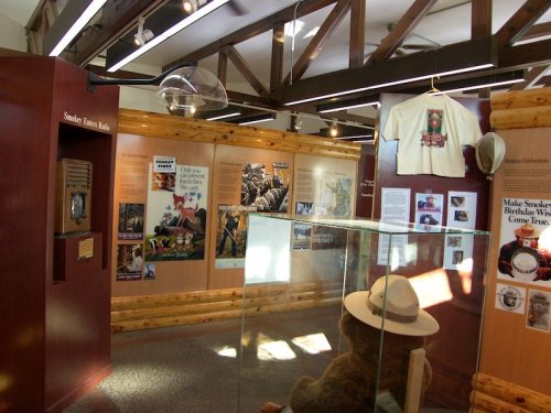 Exhibit featuring Smokey Bear memorabilia, educational displays, and a bear statue in a rustic museum setting.