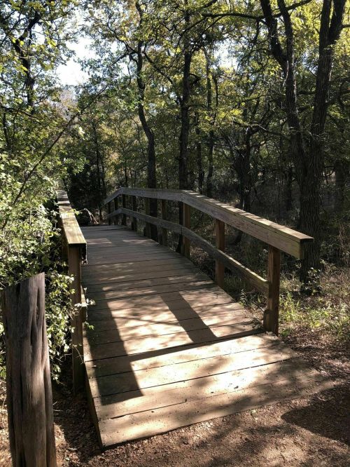 A wooden bridge spans a path through a wooded area, surrounded by trees and dappled sunlight.