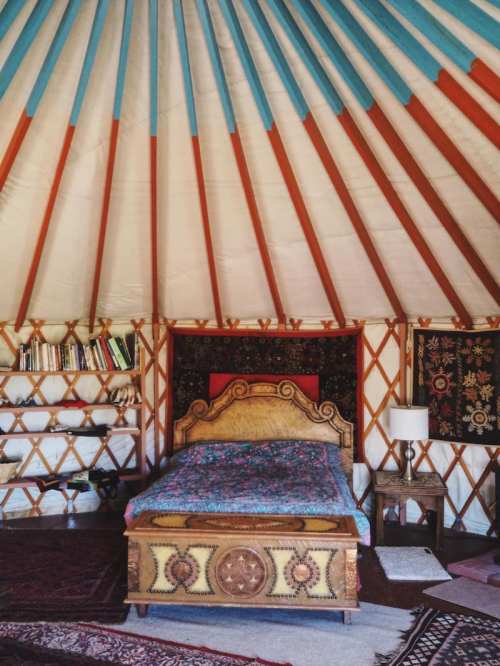 Cozy interior of a yurt featuring a wooden bed, shelves with books, and decorative rugs.