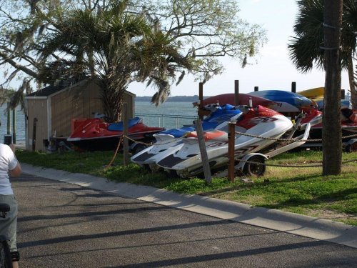 A row of colorful jet skis and kayaks parked near a waterfront, surrounded by palm trees and a clear sky.