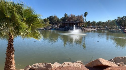 A serene pond with a fountain, surrounded by palm trees and a gazebo, under a clear blue sky. Ducks swim in the water.