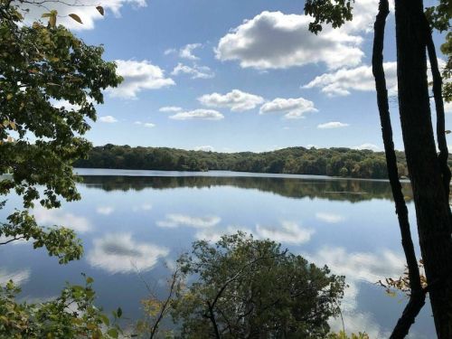 A serene lake surrounded by trees, reflecting fluffy clouds and a blue sky.
