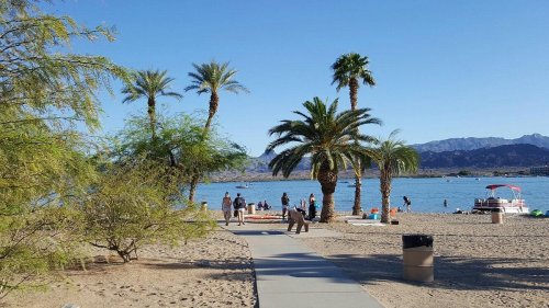 A sandy beach with palm trees, people walking along a path, and a lake in the background under a clear blue sky.