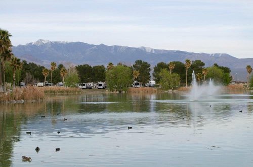 A serene lake with ducks, surrounded by palm trees and mountains in the background, featuring a fountain in the water.