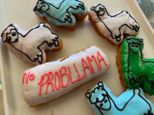 A tray of colorful donuts shaped like llamas, with playful designs and the phrase "No PROBLAMA" in pink icing.