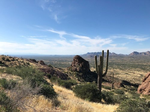 A desert landscape featuring a tall cactus, rocky formations, and distant mountains under a clear blue sky.
