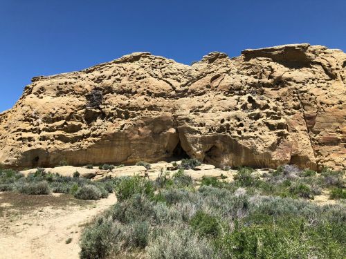 A rocky cliff with a textured surface, surrounded by sparse vegetation under a clear blue sky.