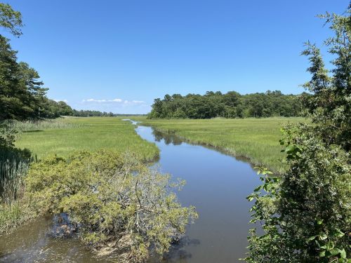 A serene landscape featuring a winding river through lush green marshland under a clear blue sky.