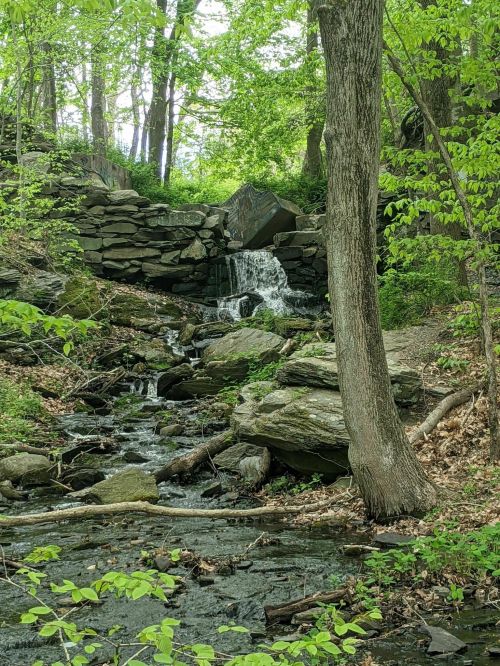A serene waterfall cascades over rocks in a lush green forest, surrounded by trees and flowing water.