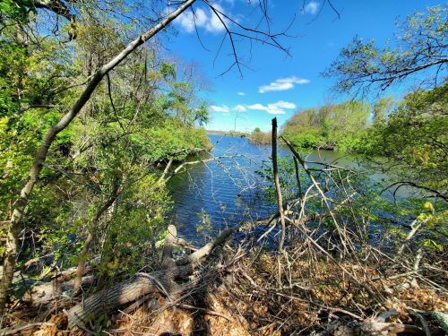A serene river scene framed by trees and branches under a bright blue sky with scattered clouds.